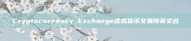 Cryptocurrency Exchange虚拟货币交易所英文名