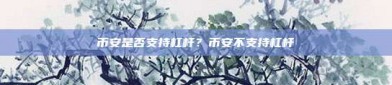 币安是否支持杠杆？币安不支持杠杆