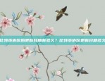 全球金融市场的探索与挑战比特币怎么在国外上市