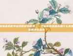 探索虚拟数字货币的奇妙世界，一个崭新的金融未来什么是虚拟数字化货币