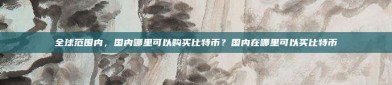 全球范围内，国内哪里可以购买比特币？国内在哪里可以买比特币