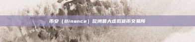 币安（Binance）欧洲最大虚拟货币交易所