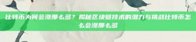 比特币为何会涨那么多？揭秘区块链技术的潜力与挑战比特币怎么会涨那么多