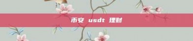 币安 usdt 理财