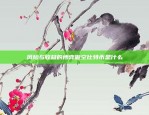 安全与风险并存的双刃剑虚拟货币如何放钱包