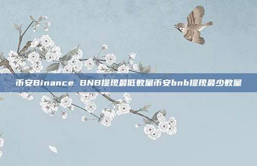 币安Binance BNB提现最低数量币安bnb提现最少数量