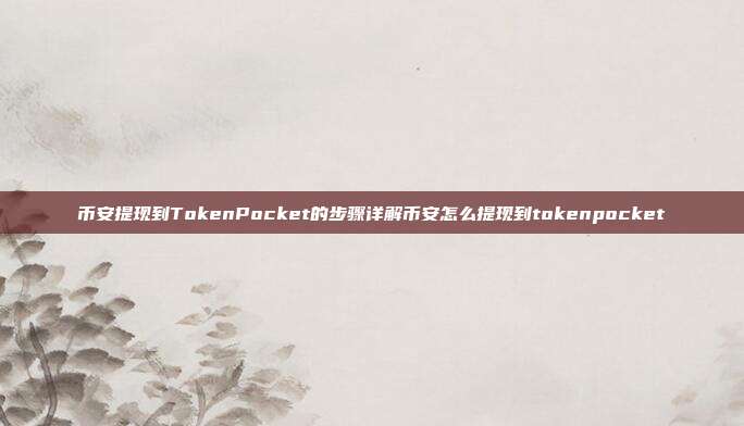 币安提现到TokenPocket的步骤详解币安怎么提现到tokenpocket