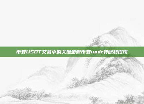 币安USDT交易中的关键步骤币安usdt转账和提现