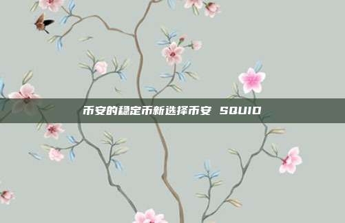 币安的稳定币新选择币安 SQUID