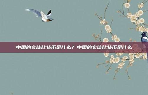 中国的实体比特币是什么？中国的实体比特币是什么