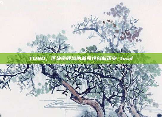 TUSD，区块链领域的革命性创新币安 tusd