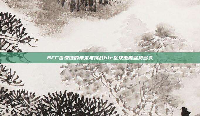 BFC区块链的未来与挑战bfc区块链能坚持多久