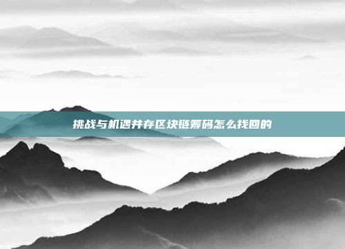 挑战与机遇并存区块链筹码怎么找回的