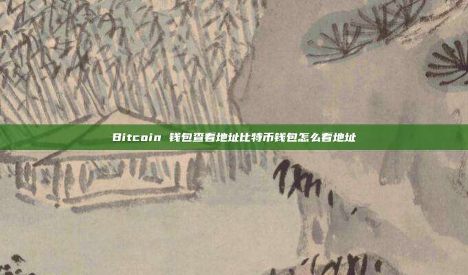 Bitcoin 钱包查看地址比特币钱包怎么看地址