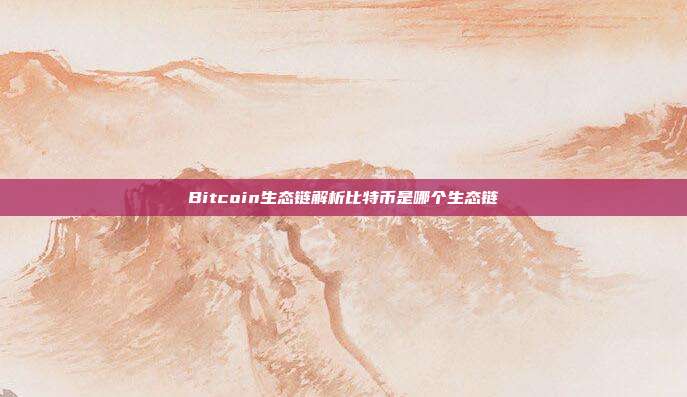 Bitcoin生态链解析比特币是哪个生态链