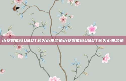 币安智能链USDT转火币生态链币安智能链USDT转火币生态链