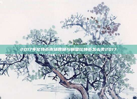 2017年比特币市场回顾与展望比特币怎么卖2017