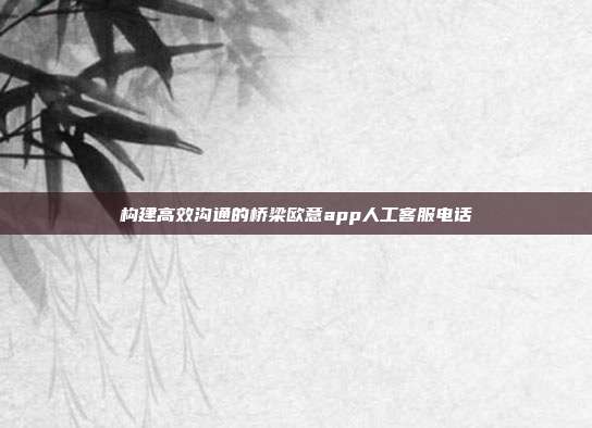 构建高效沟通的桥梁欧意app人工客服电话