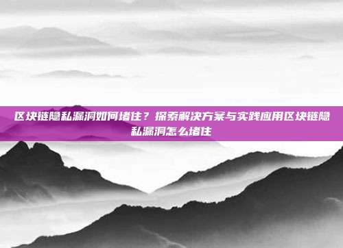 区块链隐私漏洞如何堵住？探索解决方案与实践应用区块链隐私漏洞怎么堵住