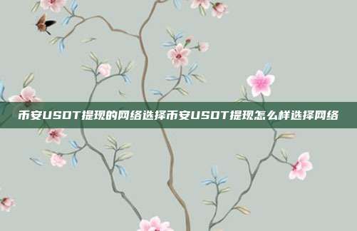 币安USDT提现的网络选择币安USDT提现怎么样选择网络