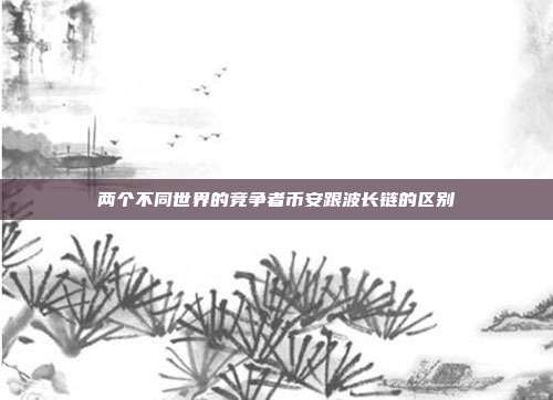 两个不同世界的竞争者币安跟波长链的区别