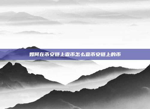 如何在币安链上查币怎么查币安链上的币