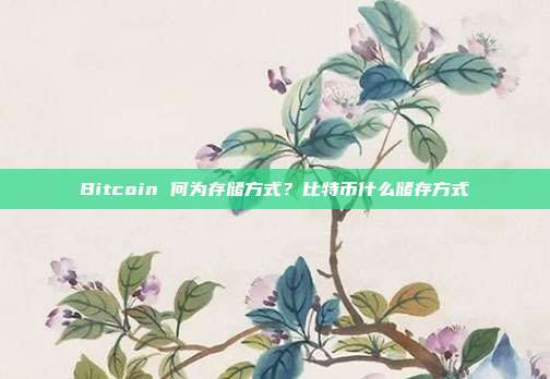 Bitcoin 何为存储方式？比特币什么储存方式