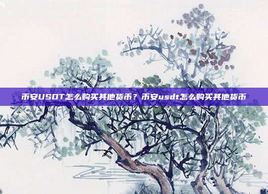 币安USDT怎么购买其他货币？币安usdt怎么购买其他货币