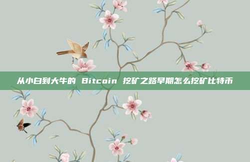 从小白到大牛的 Bitcoin 挖矿之路早期怎么挖矿比特币