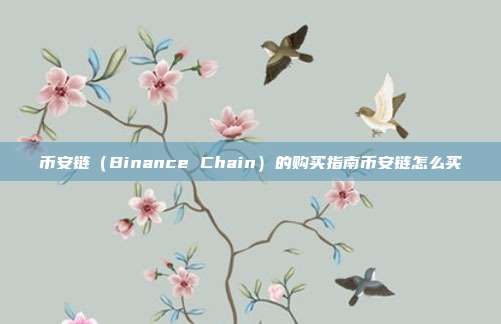 币安链（Binance Chain）的购买指南币安链怎么买