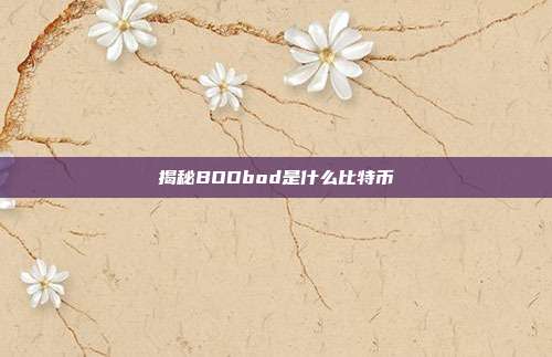 揭秘BODbod是什么比特币