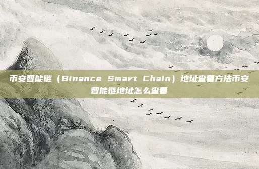 币安智能链（Binance Smart Chain）地址查看方法币安智能链地址怎么查看