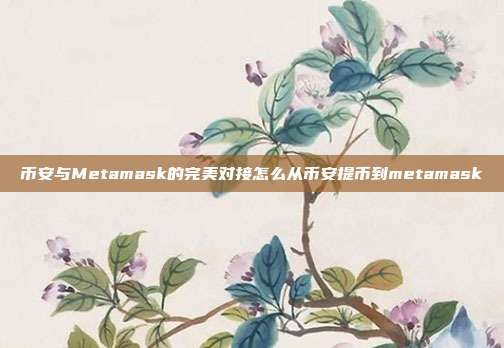 币安与Metamask的完美对接怎么从币安提币到metamask