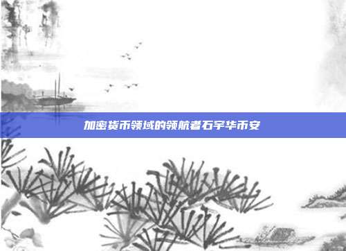 加密货币领域的领航者石宇华币安