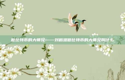 做比特币的大师兄——刘鹤滩做比特币的大师兄叫什么