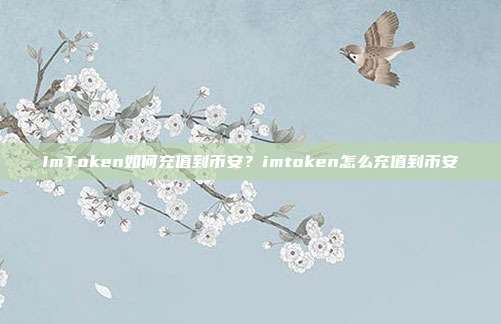 ImToken如何充值到币安？imtoken怎么充值到币安