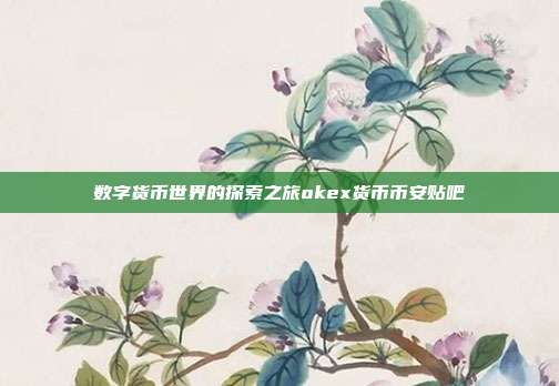 数字货币世界的探索之旅okex货币币安贴吧