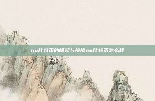 nu比特币的崛起与挑战nu比特币怎么样