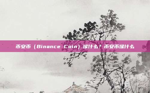 币安币（Binance Coin）像什么？币安币像什么