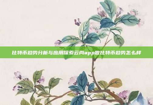 比特币趋势分析与应用探索云尚app做比特币趋势怎么样