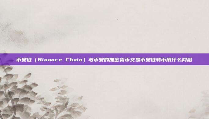 币安链（Binance Chain）与币安的加密货币交易币安链转币用什么网络