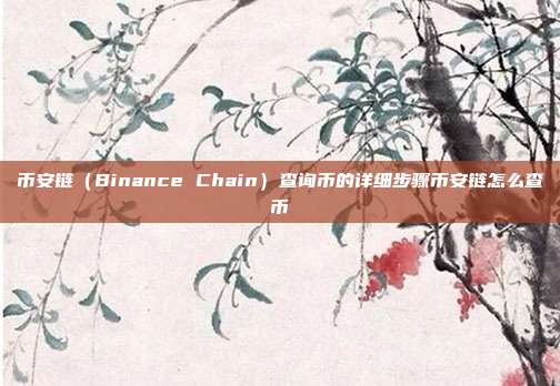 币安链（Binance Chain）查询币的详细步骤币安链怎么查币