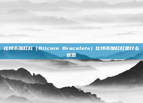 比特币加杠杠（Bitcoin Bracelets）比特币加杠杠是什么意思