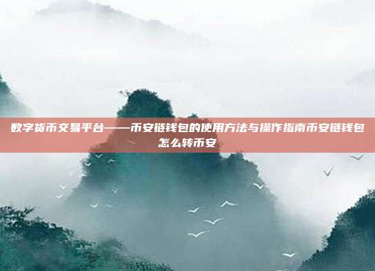 数字货币交易平台——币安链钱包的使用方法与操作指南币安链钱包怎么转币安