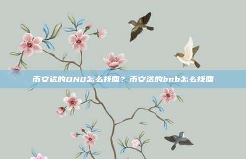 币安送的BNB怎么找回？币安送的bnb怎么找回