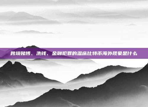 跨境赌博、洗钱、金融犯罪的温床比特币海外现象是什么