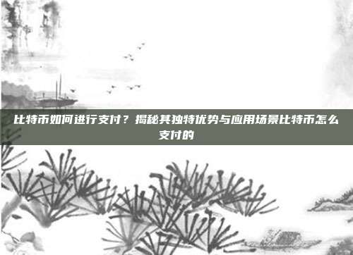 比特币如何进行支付？揭秘其独特优势与应用场景比特币怎么支付的