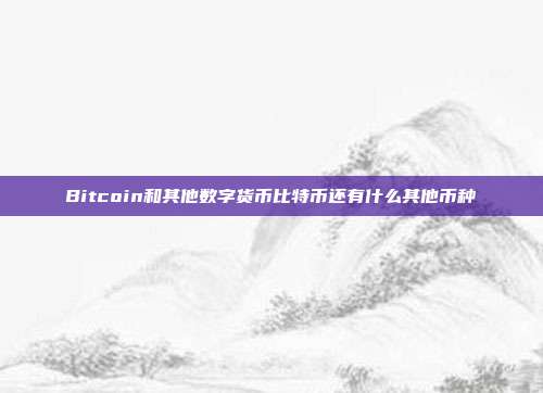 Bitcoin和其他数字货币比特币还有什么其他币种