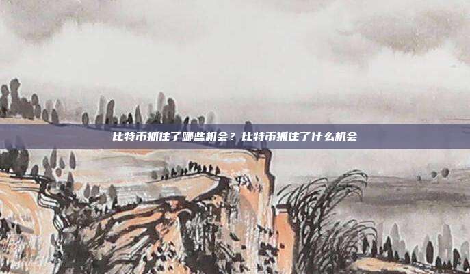 比特币抓住了哪些机会？比特币抓住了什么机会