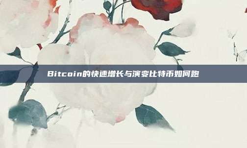 Bitcoin的快速增长与演变比特币如何跑